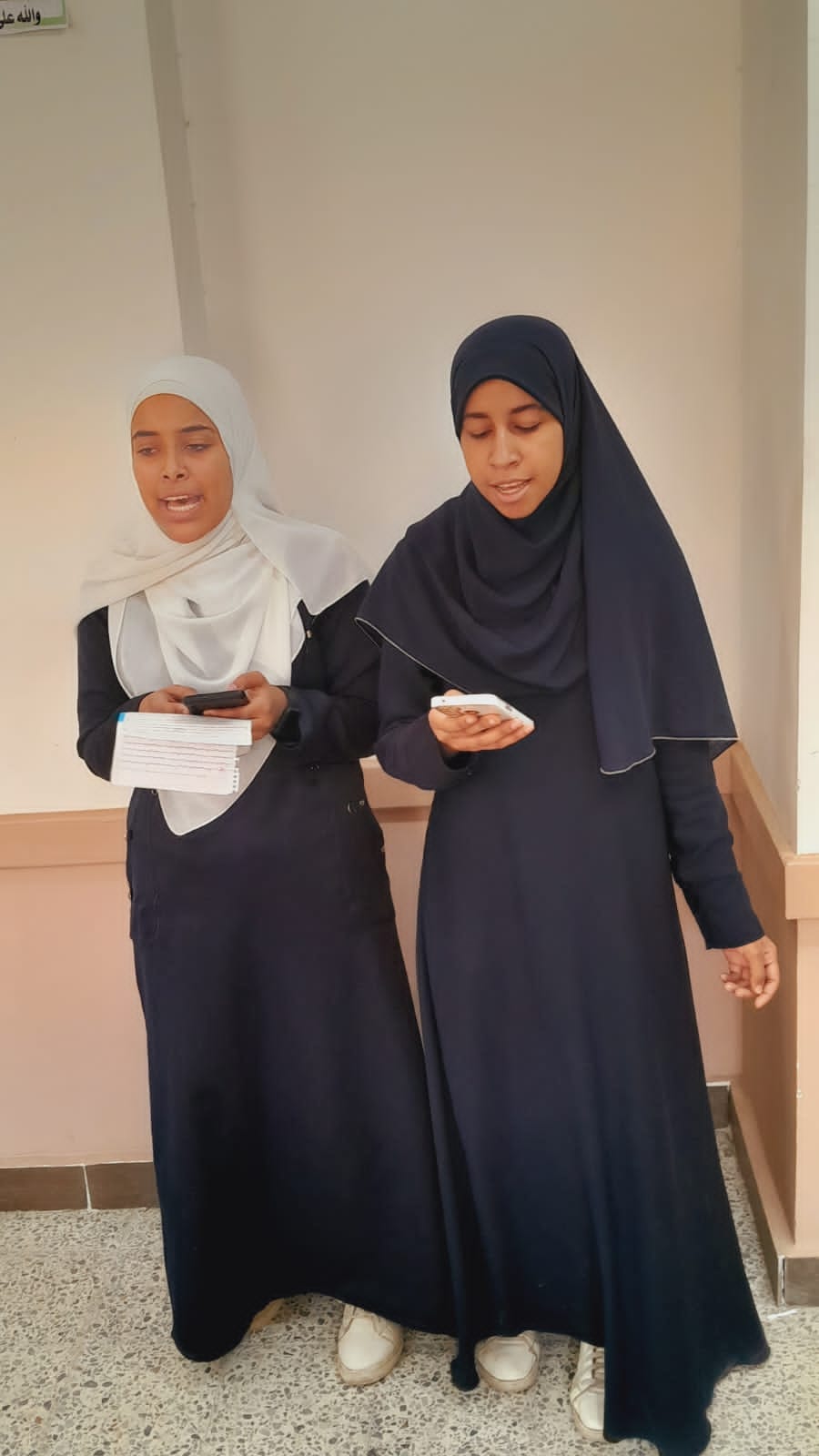 جانب من الفعاليات