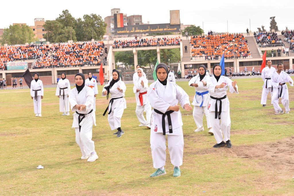 جانب من الفعاليات