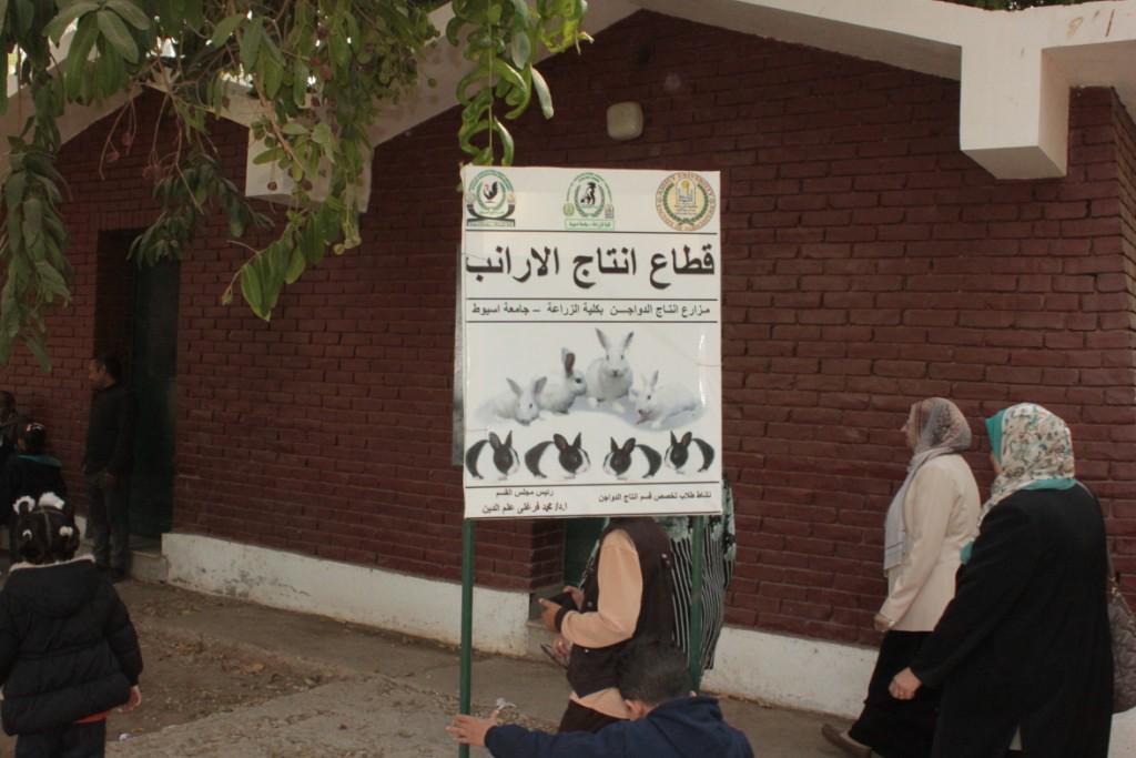 جانب من الزيارة