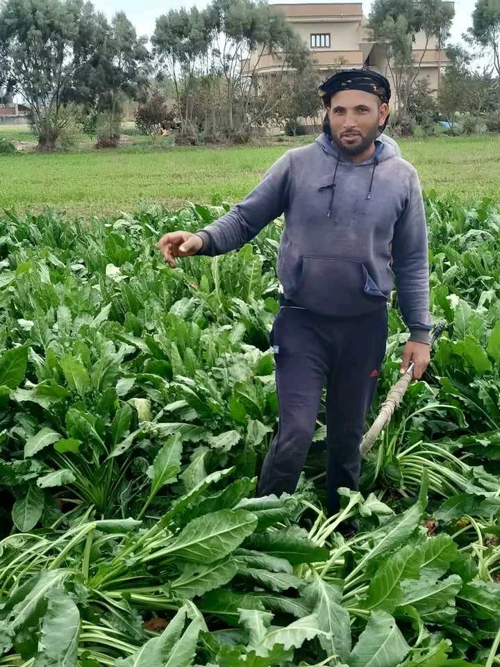 received_1019366252651081