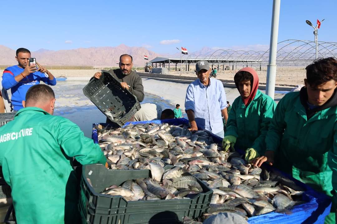 FB_IMG_1702492506449