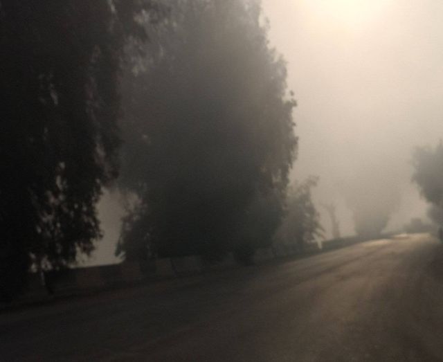 الشبورة تغيم حاليًا على طريق أسيوط الزراعي