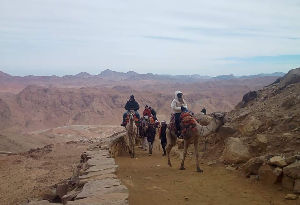 IMG-20231228-WA0003