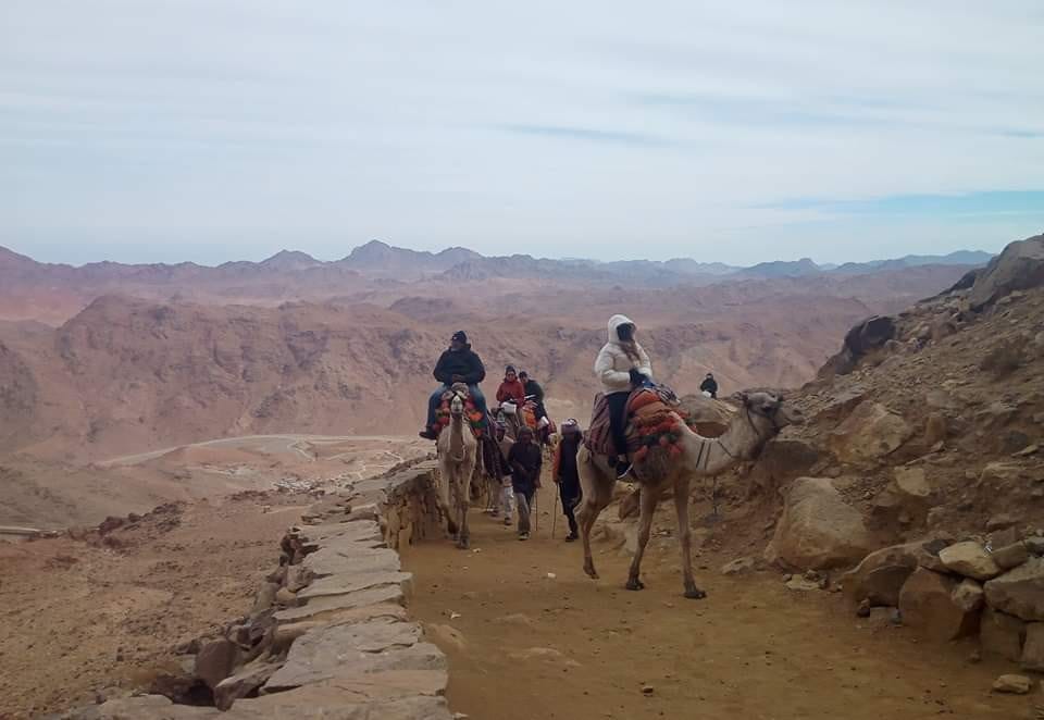 IMG-20231228-WA0000