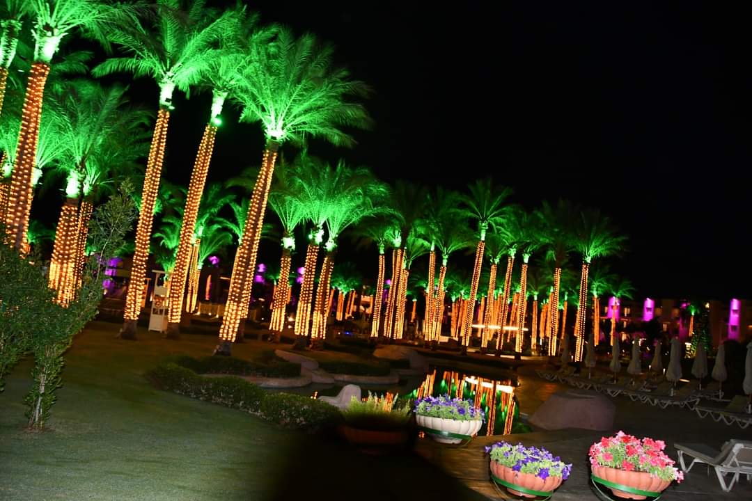 FB_IMG_1704109465956