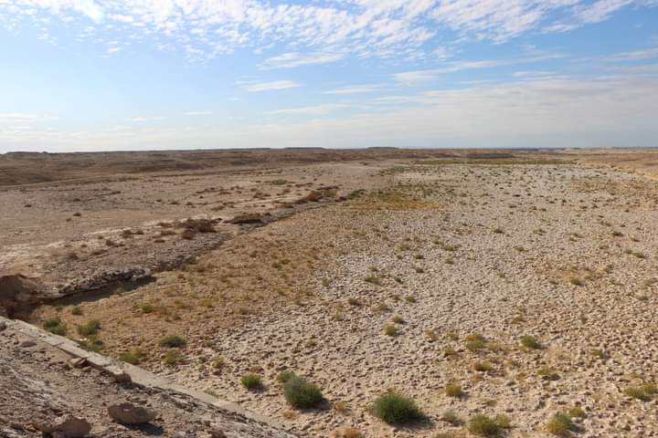 FB_IMG_1706277224670