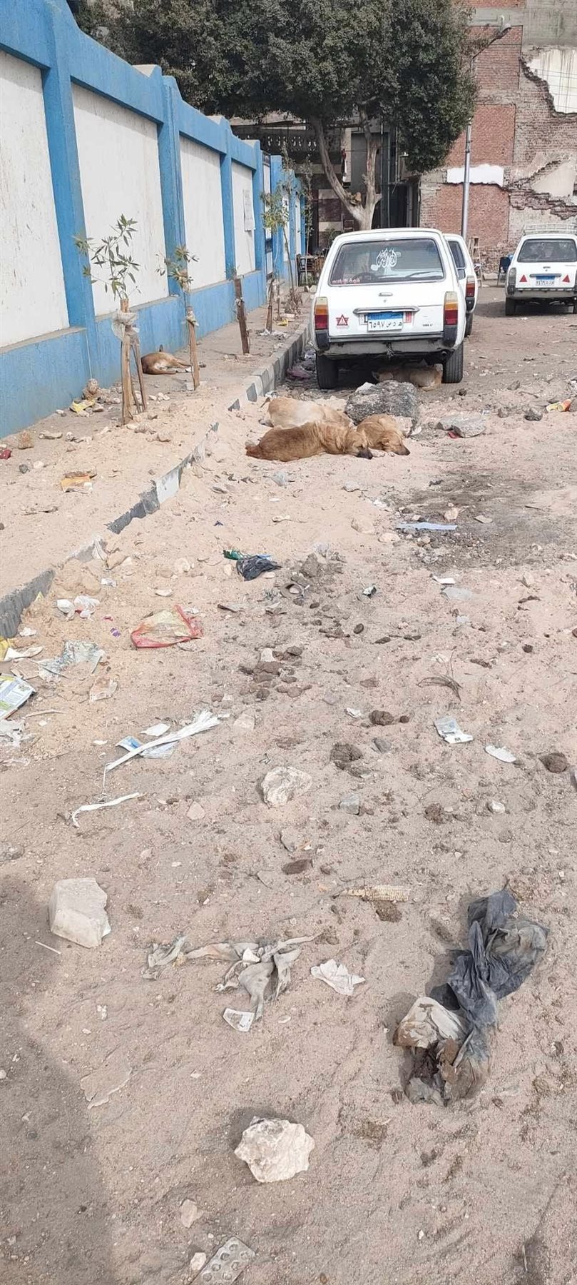 جانب من أنتشار القمامة والأسفلت المكسّر