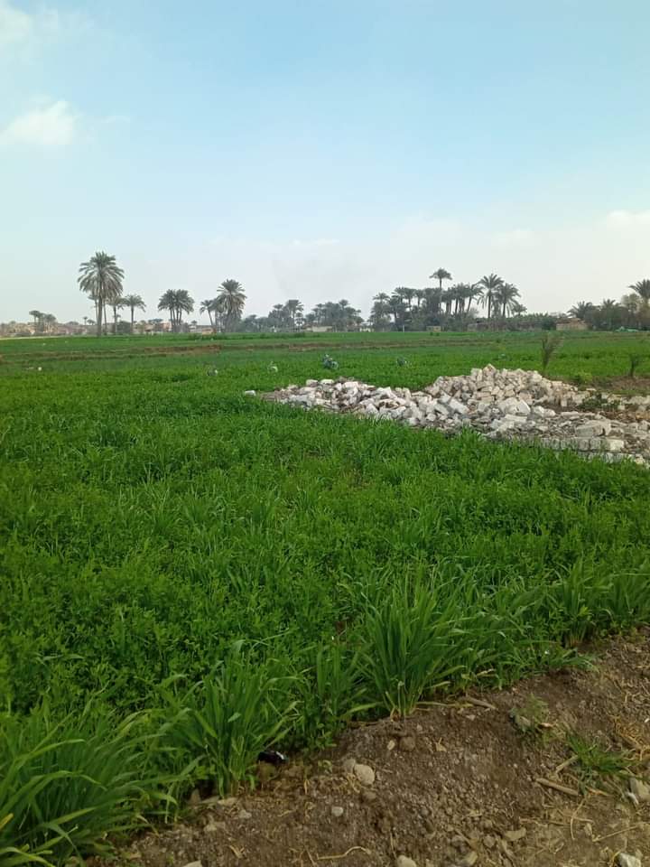 FB_IMG_1706541746805