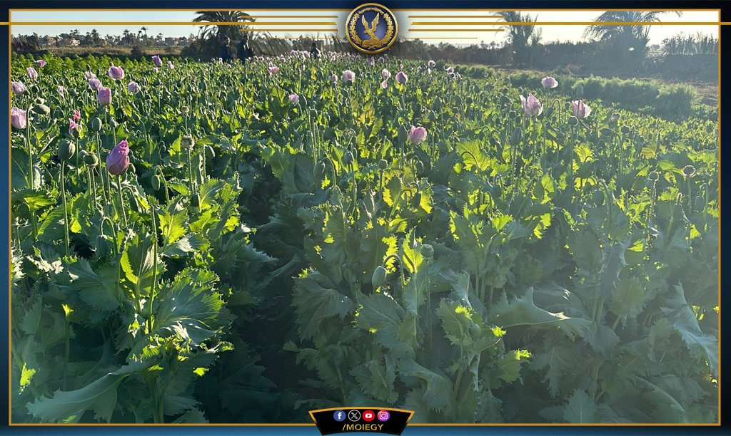 ٢٠٢٤٠٢٠٤_٢٠٣١٥٨