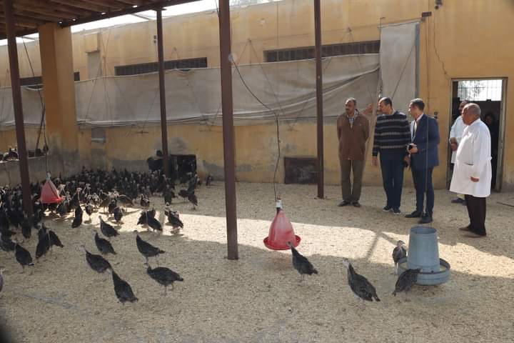 FB_IMG_1707399714363