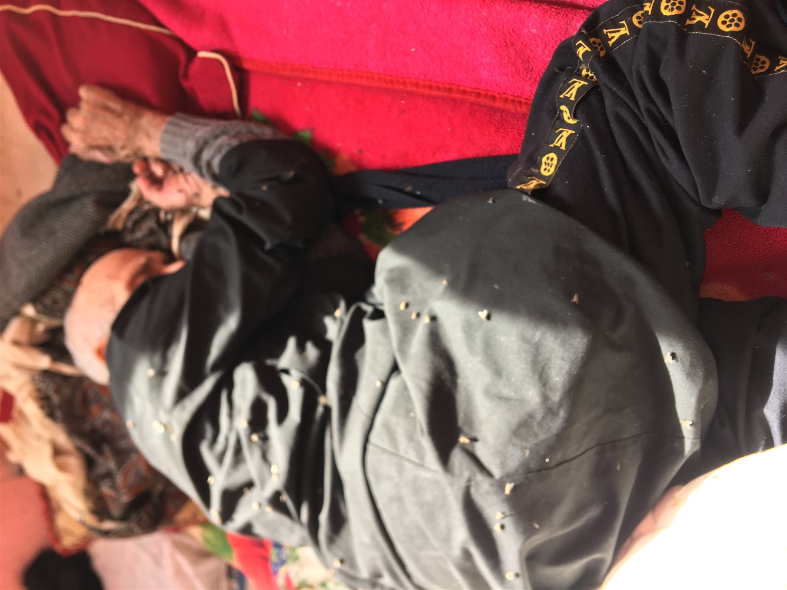 7C6C5772-73D8-4636-9845-EC9D9B385C66