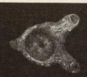 احد المسارج الفريدة التى عثر عليها بالمنطقة