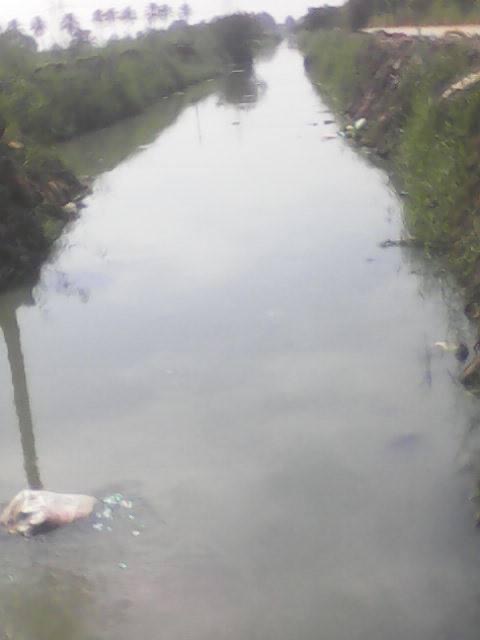 7F7DB9F0-303A-40BC-91DE-C070F8634AC0