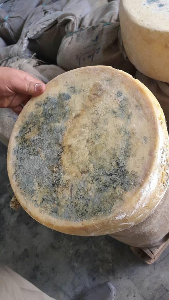 E7182266-1DF2-44CD-9F5E-BB90CC925F09