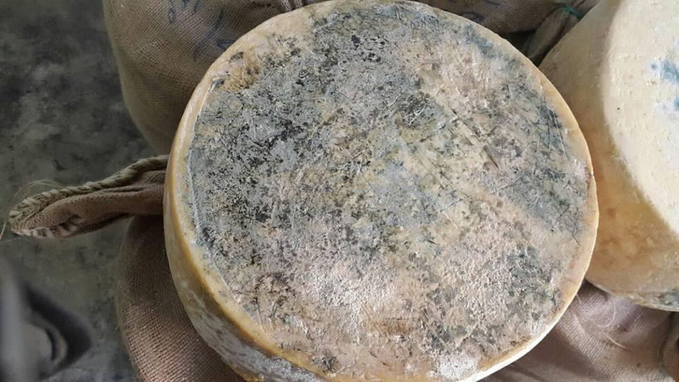 A0A7C941-2271-4943-BB9F-C28CC5B0842D