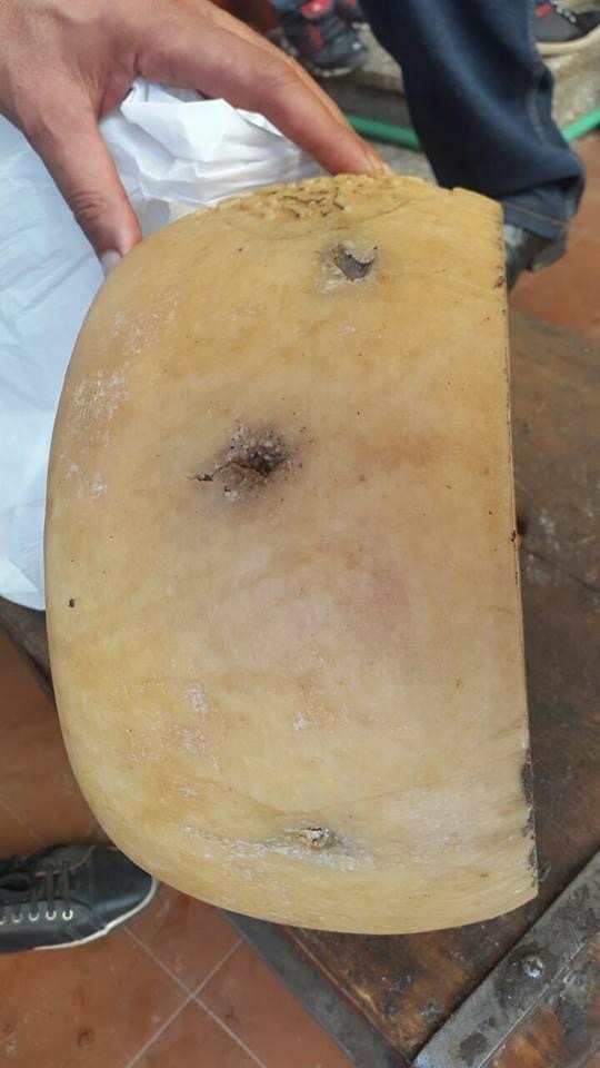 1ADAC5B4-B0B9-4B97-AE53-E79CB47ECD04