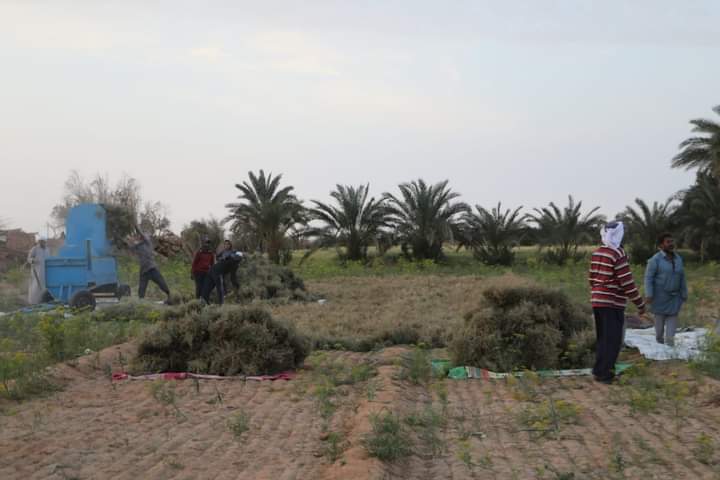 FB_IMG_1710364751069