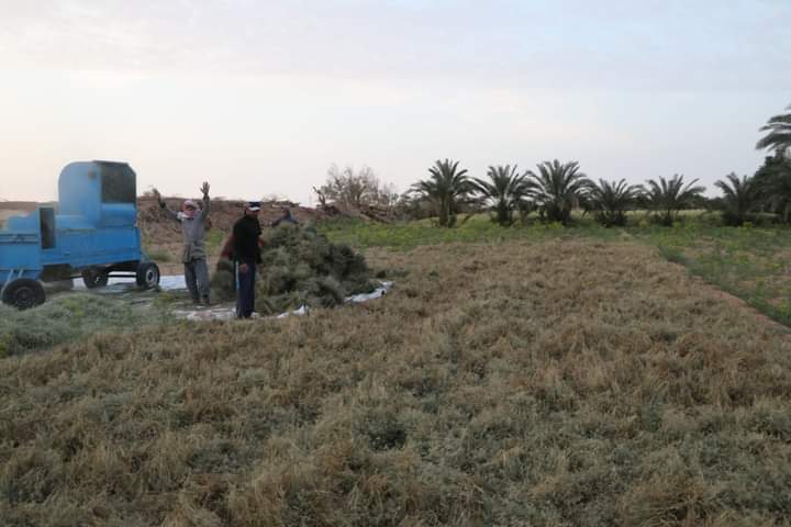 FB_IMG_1710364747512