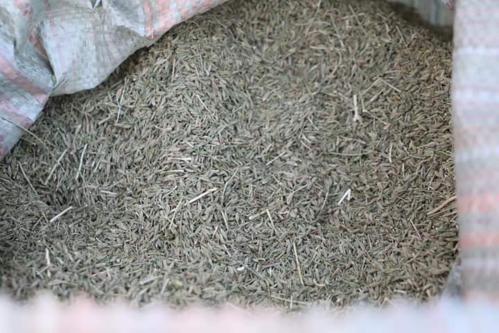 FB_IMG_1710364717149