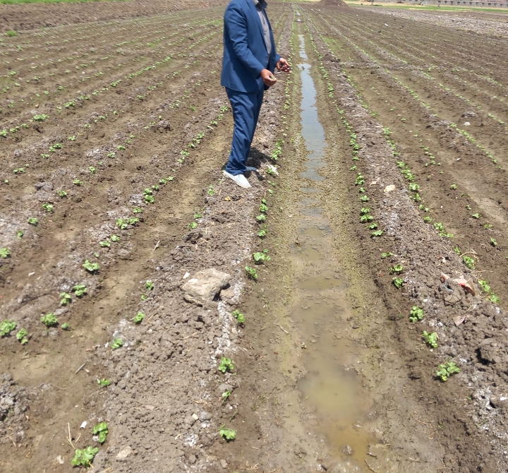 Screenshot_2024-04-17-14-54-33-62