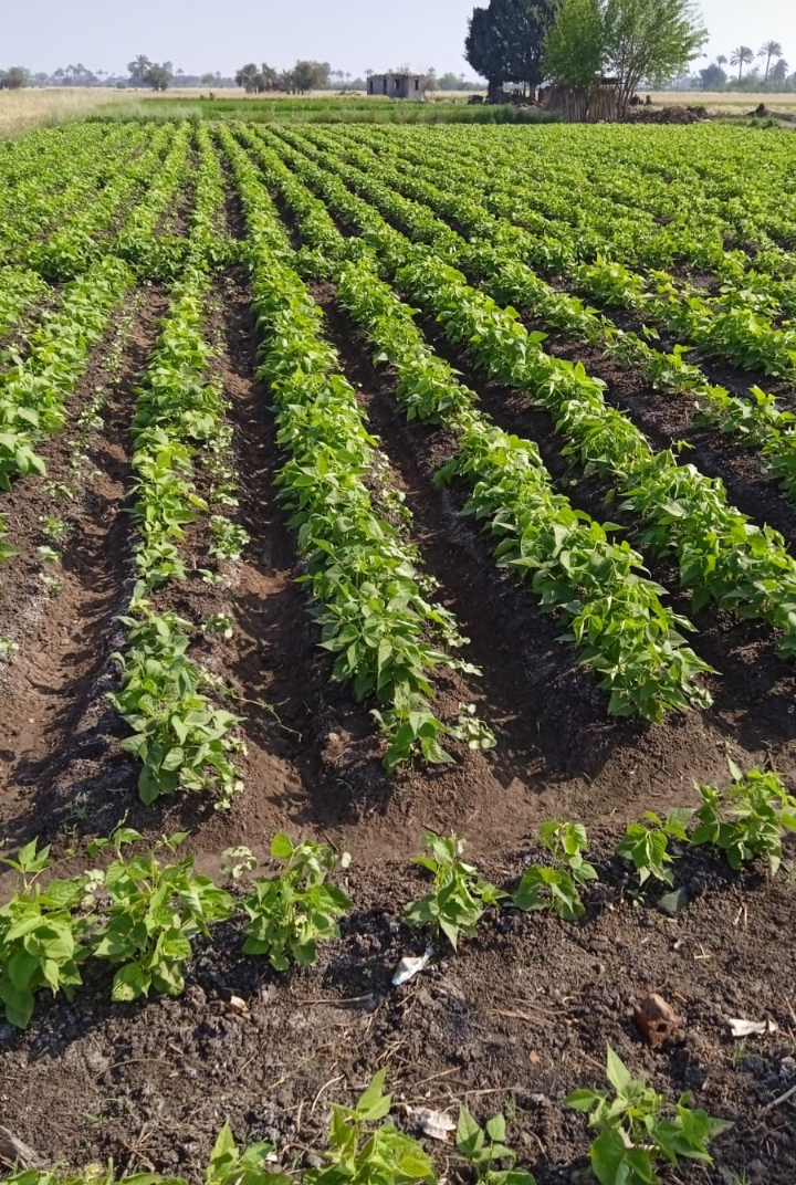 Screenshot_2024-04-17-14-54-53-14