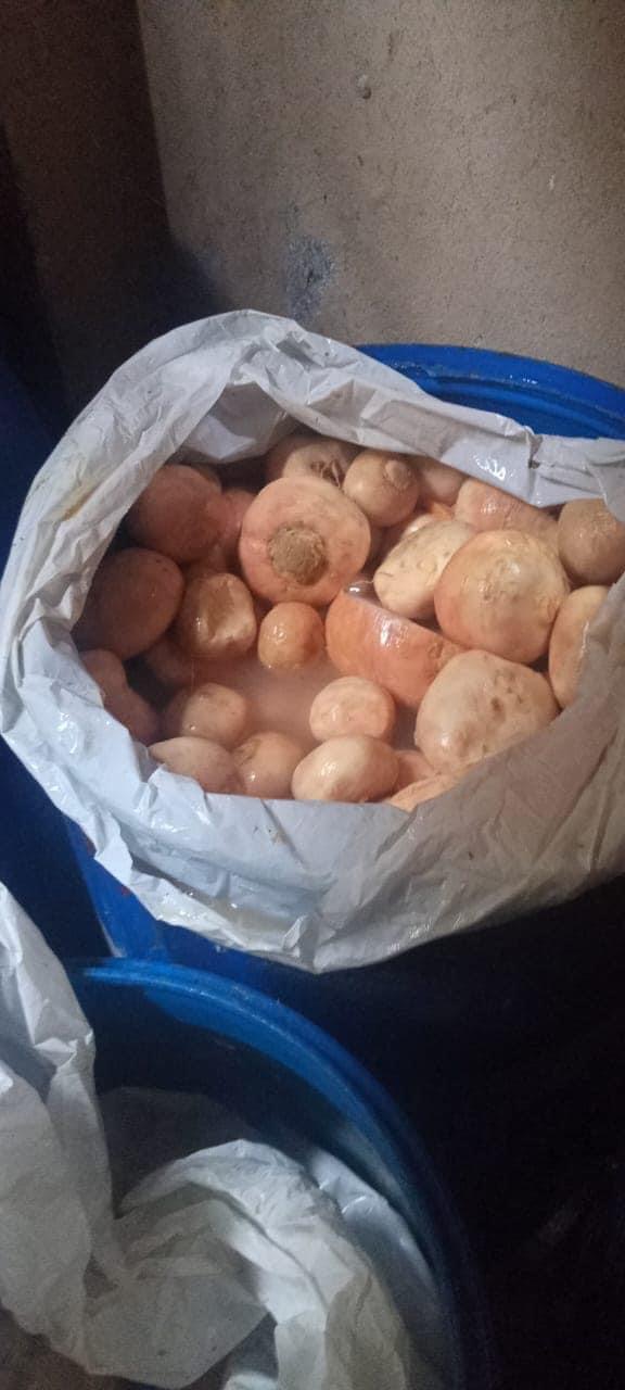 DBEC6860-2A5F-4B0A-BE80-0378A99443E0