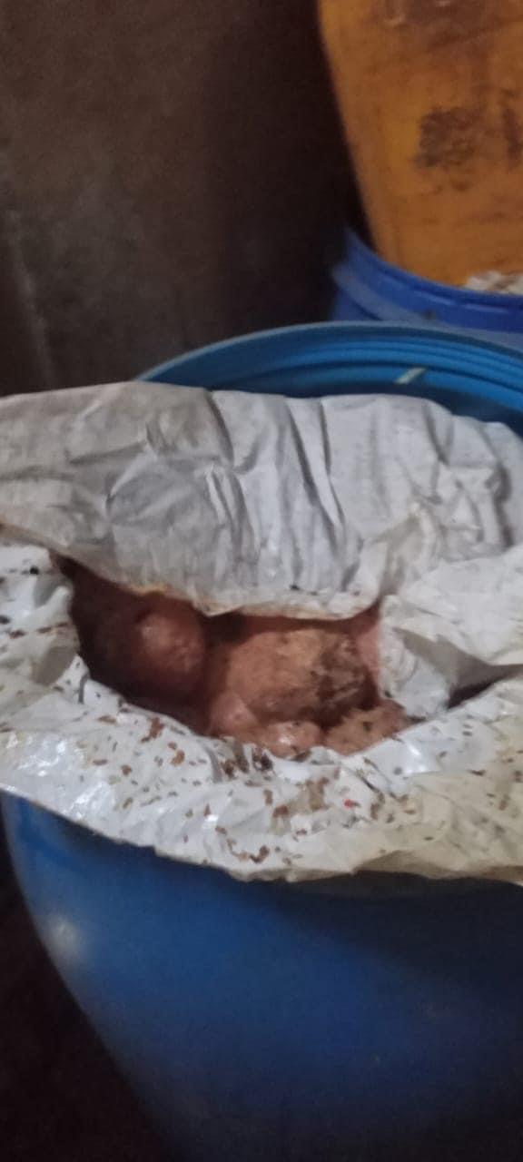 418CD6E9-43F9-4979-BAFF-E8F1BCD05612