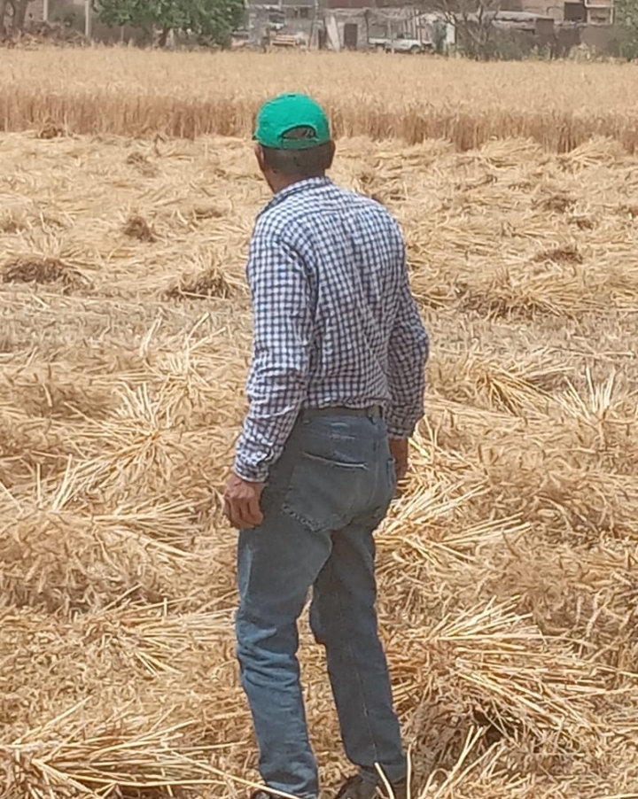 Screenshot_2024-04-27-14-55-02-59