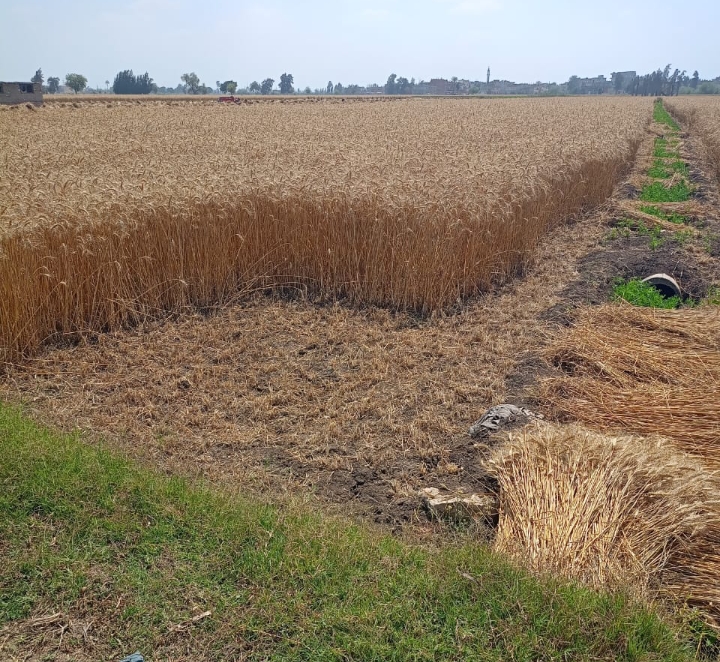 Screenshot_2024-04-27-14-54-51-12