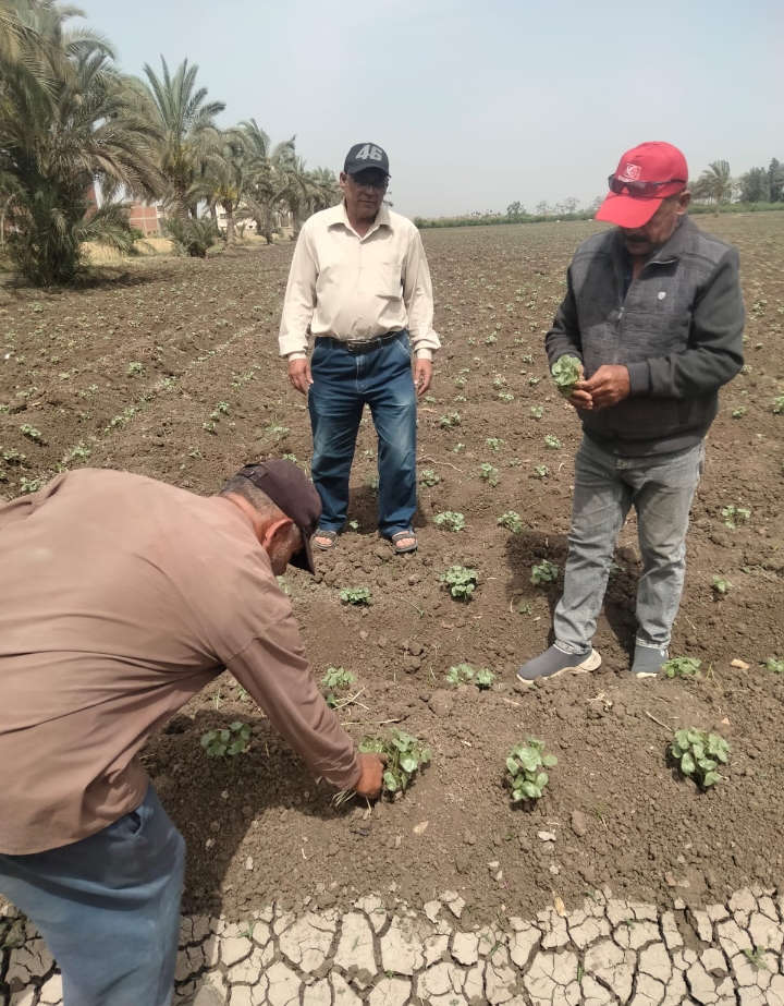 Screenshot_2024-04-27-14-53-46-63