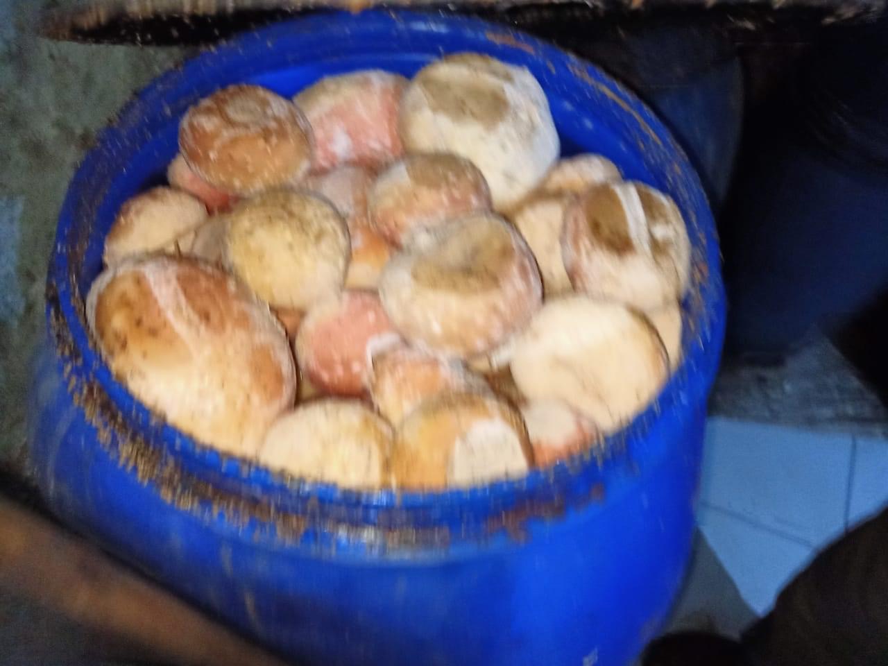 9FF13E21-EA13-4BCD-BEAD-EC2365E46DC6