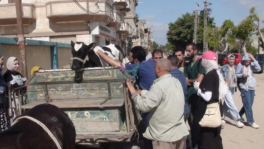 FB_IMG_1714380174562