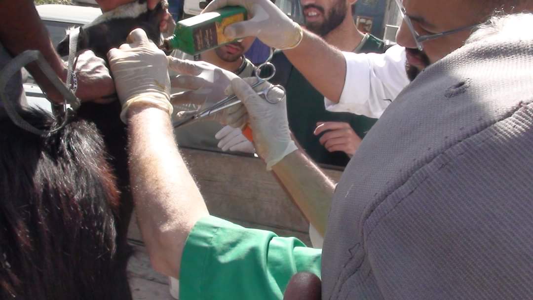 FB_IMG_1714380171245