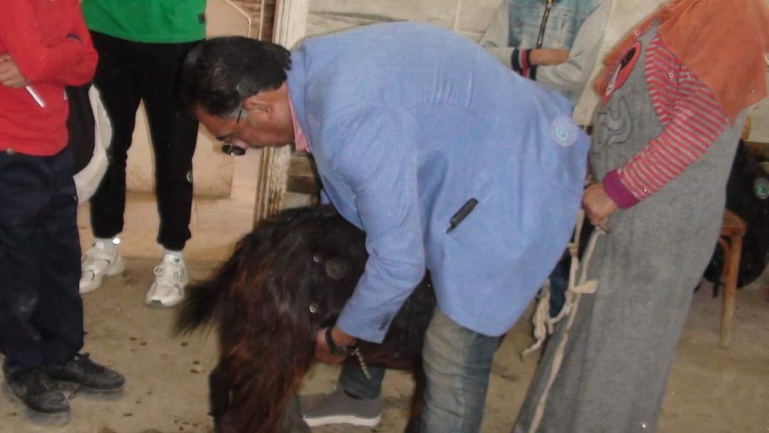 FB_IMG_1714380167966