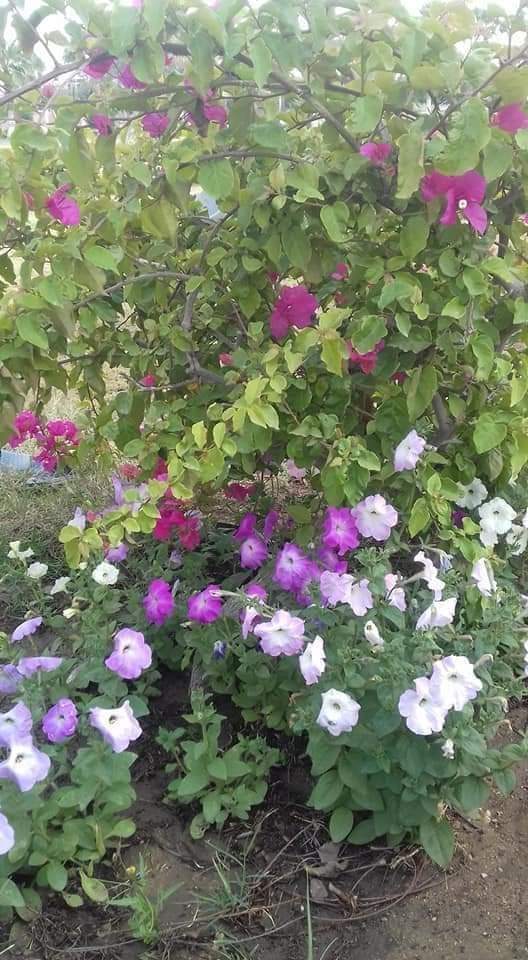 FB_IMG_1714902517273