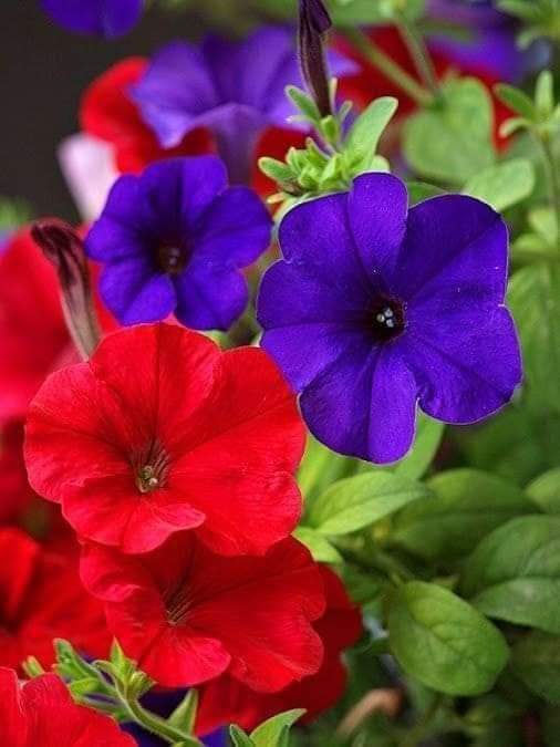 FB_IMG_1714902522372