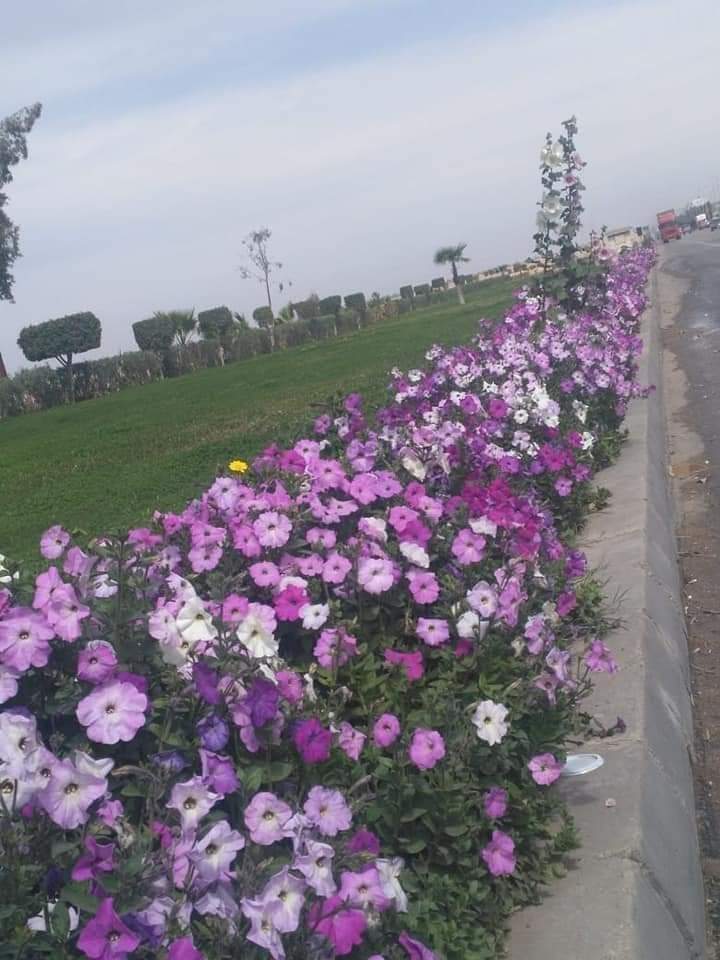 FB_IMG_1714902513260