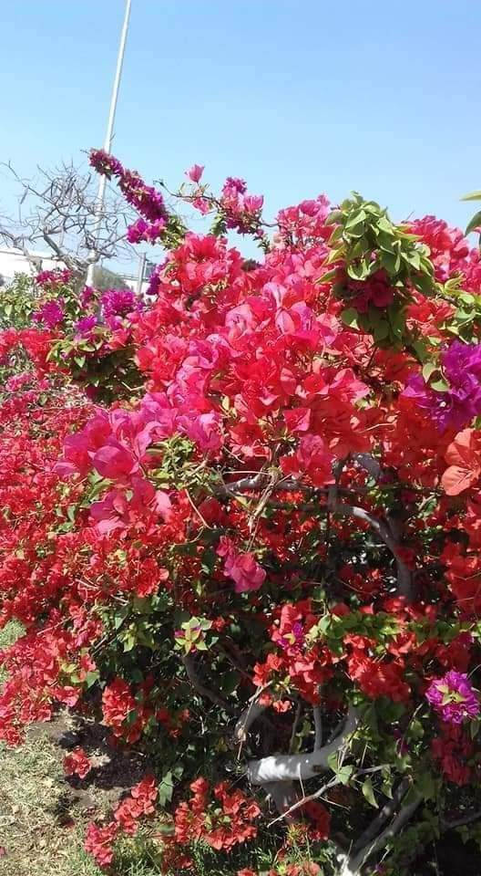 FB_IMG_1714902543683