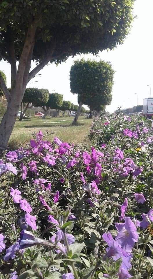 FB_IMG_1714902536962