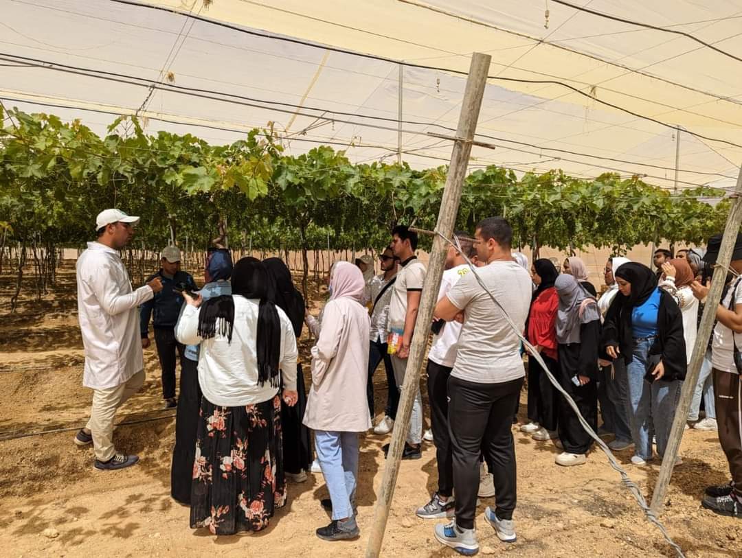 FB_IMG_1715350964174