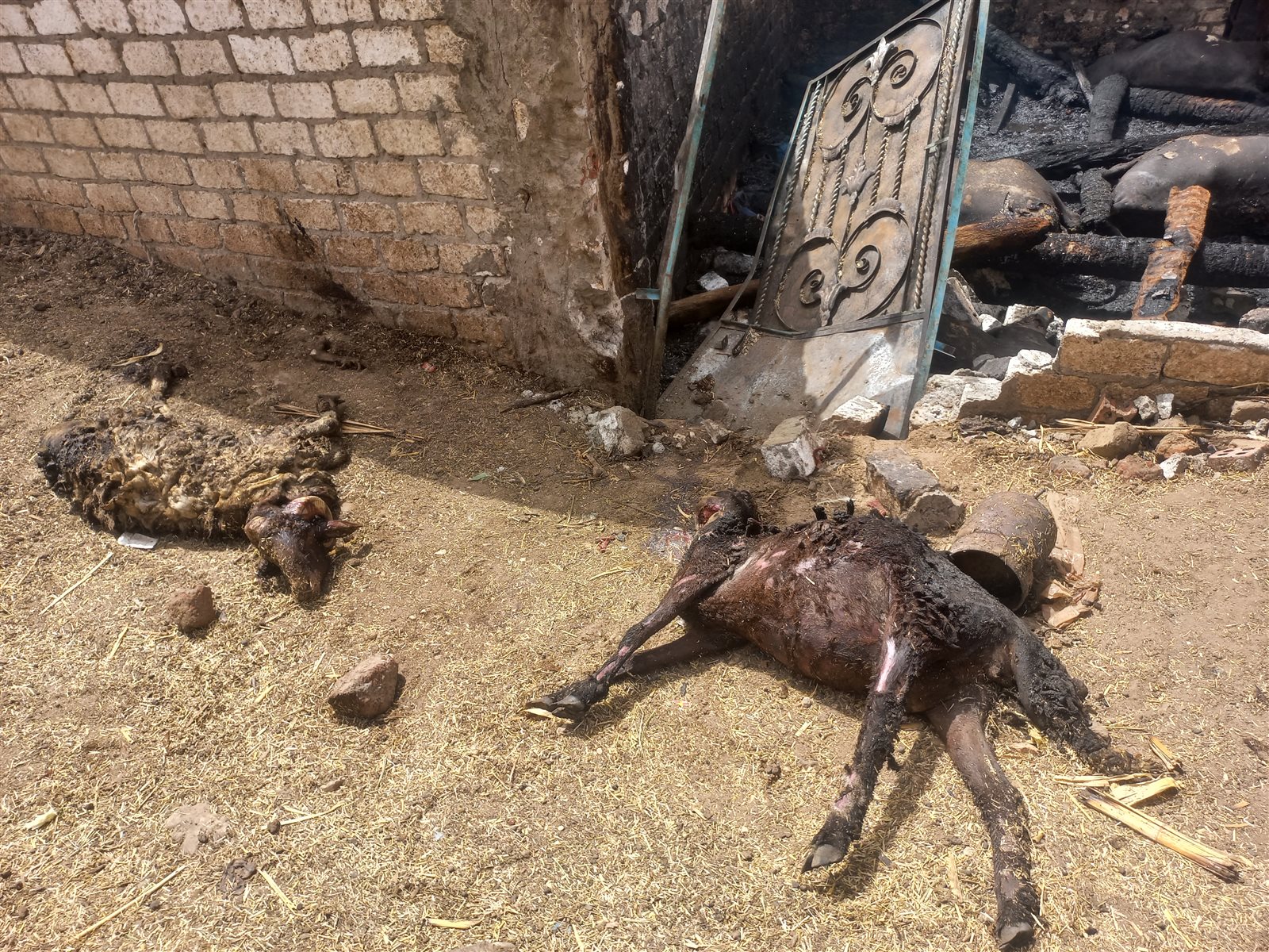 ٢٠٢٤٠٦٠١_١٥٠٨٤٦