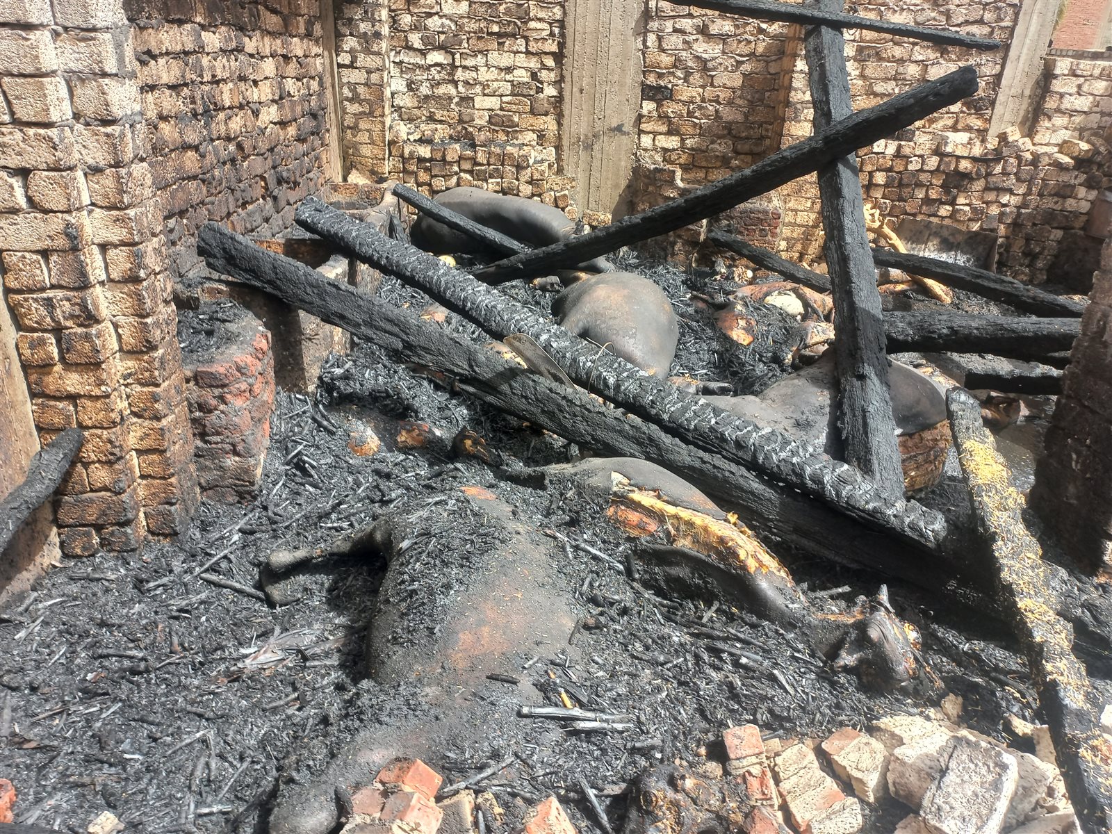 ٢٠٢٤٠٦٠١_١٥٠٧٥١