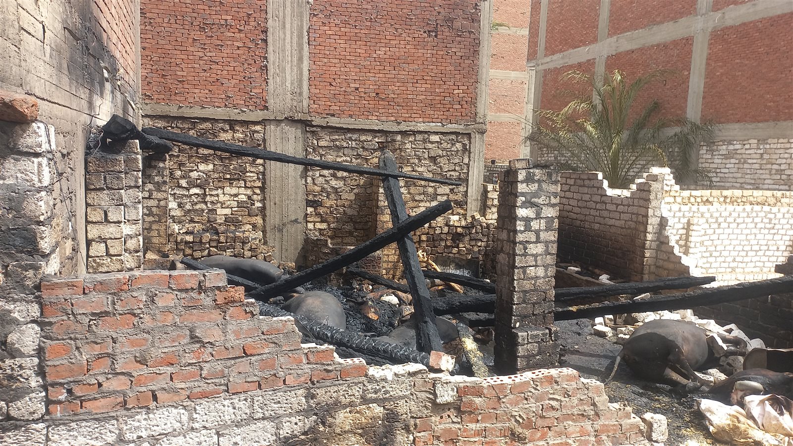 ٢٠٢٤٠٦٠١_١٥٠٨٢٩