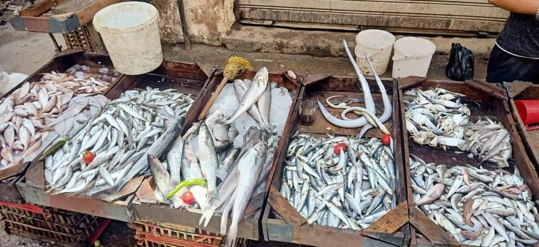 FB_IMG_1717319310779