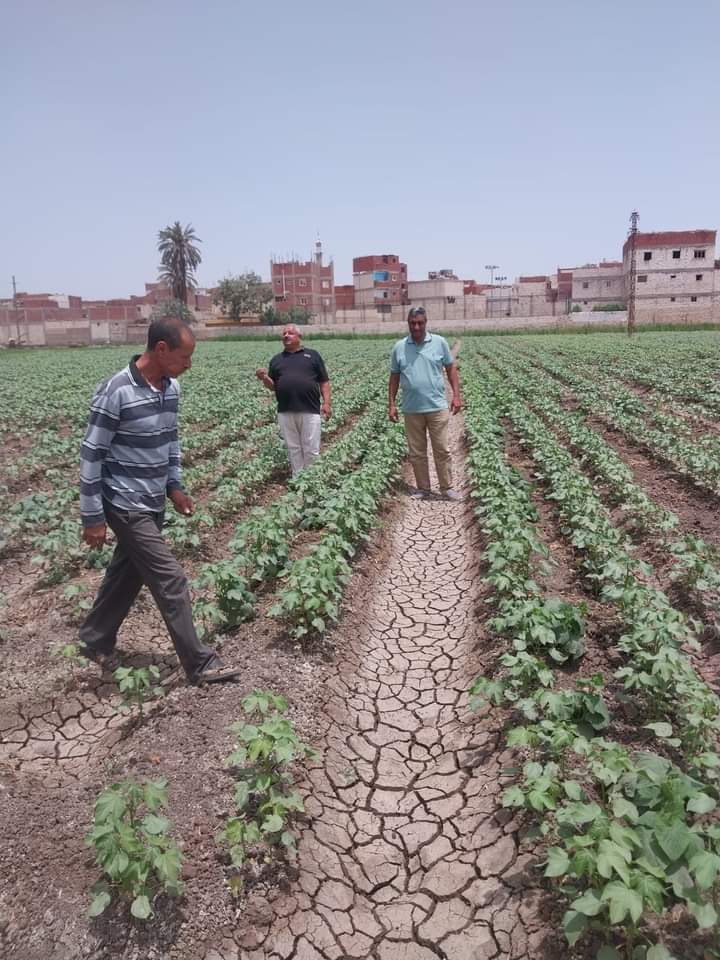 FB_IMG_1717759582233