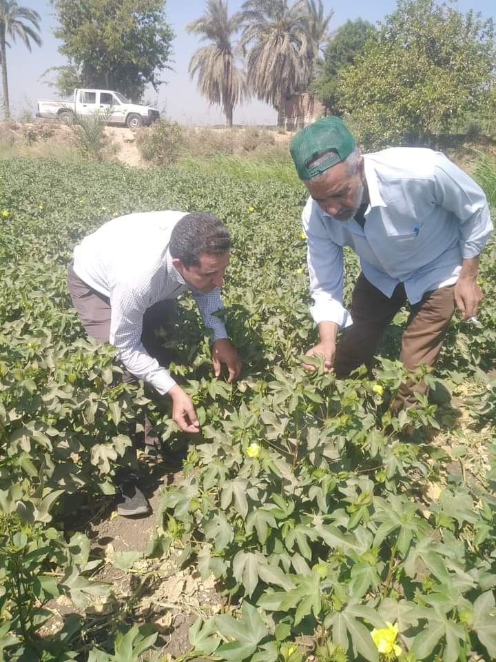 FB_IMG_1717759541724