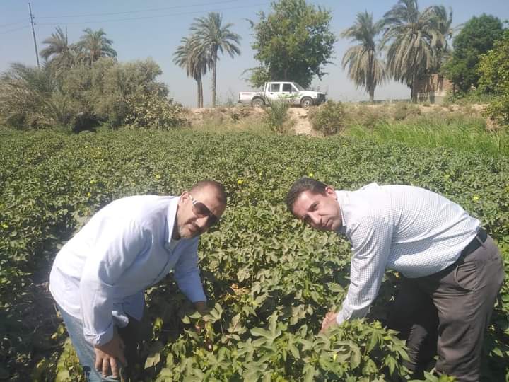 FB_IMG_1717759539086