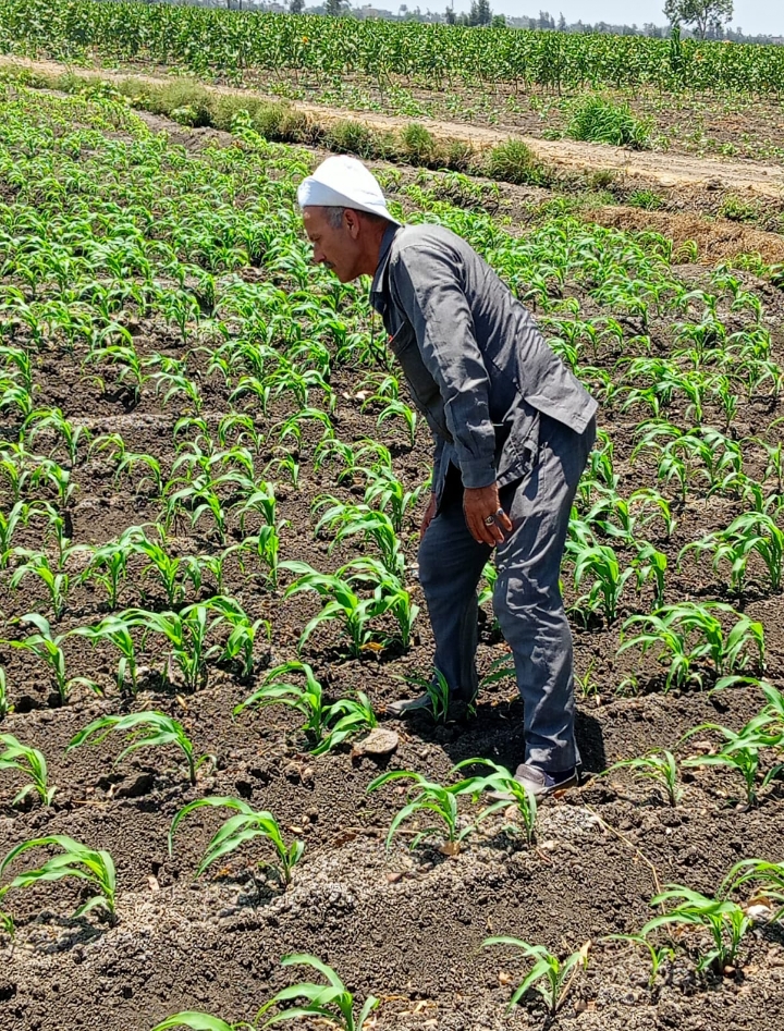 Screenshot_2024-06-07-14-34-50-92