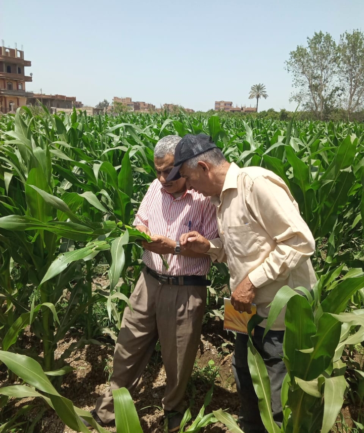 Screenshot_2024-06-07-14-34-35-54