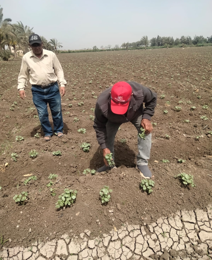 Screenshot_2024-06-07-14-34-12-82